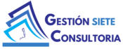 Gestion 7 Consultoria